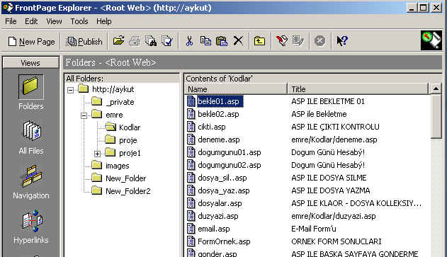 wpe8.jpg (43883 bytes)